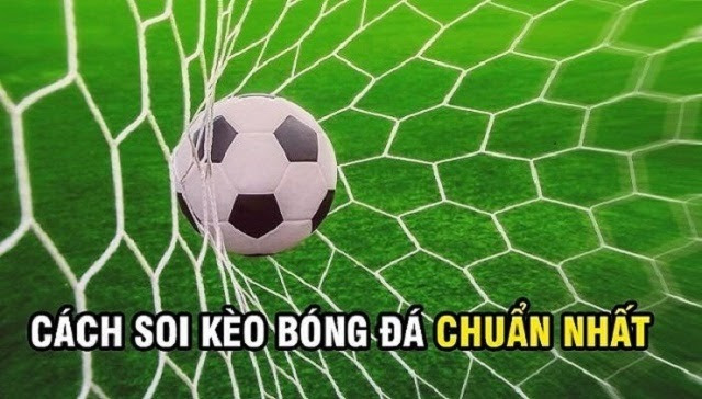 Vận dụng mẹo soi kèo để cá cược hiệu quả