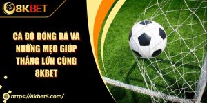 Cá Độ Bóng Đá Và Những Mẹo Giúp Thắng Lớn Cùng KU88