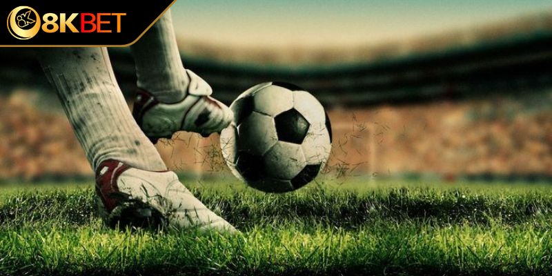 Các loại hình cược có trong trận đấu&nbsp;