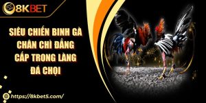 Siêu Chiến Binh Gà Chân Chì Đẳng Cấp Trong Làng Đá Chọi