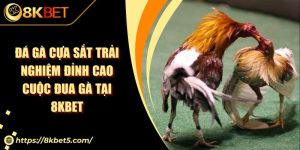 Đá Gà Cựa Sắt Trải Nghiệm Đỉnh Cao Cuộc Đua Gà Tại KU88