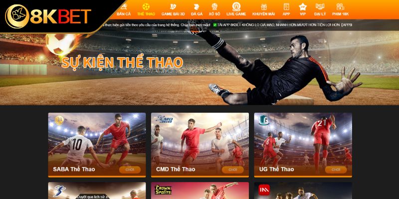 Đôi nét về sảnh thể thao