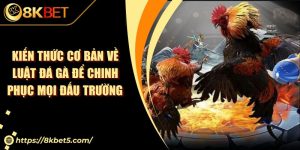 Kiến Thức Cơ Bản Về Luật Đá Gà Để Chinh Phục Mọi Đấu Trường