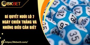 Bí Quyết Nuôi Lô 7 Ngày Chiến Thắng Và Những Điều Cần Biết