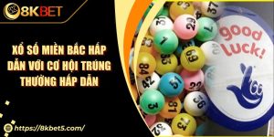 Xổ Số Miền Bắc Hấp Dẫn Với Cơ Hội Trúng Thưởng Hấp Dẫn