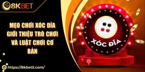 Mẹo Chơi Xóc Đĩa Giới Thiệu Trò Chơi Và Luật Chơi Cơ Bản