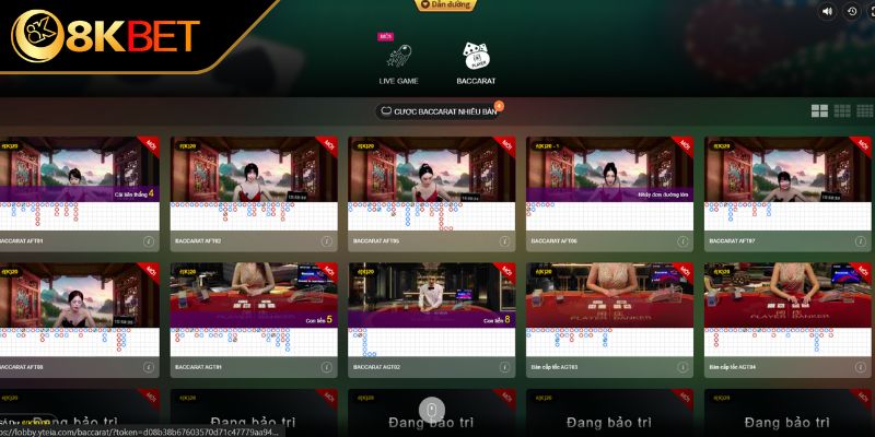 Tham gia sảnh cược MT cực kỳ uy tín